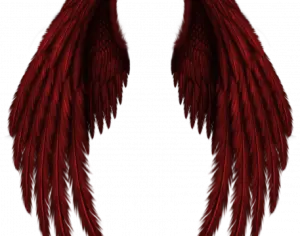 Profile Picture of Bird Wings 