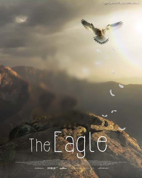 Eagle Poster Editing Backgro