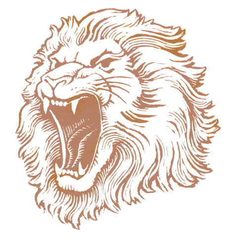 Lion Head PNG HD Vector