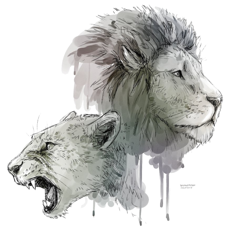 White Lioness Head PNG HD