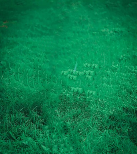 Green Grass Picsart CB Backg