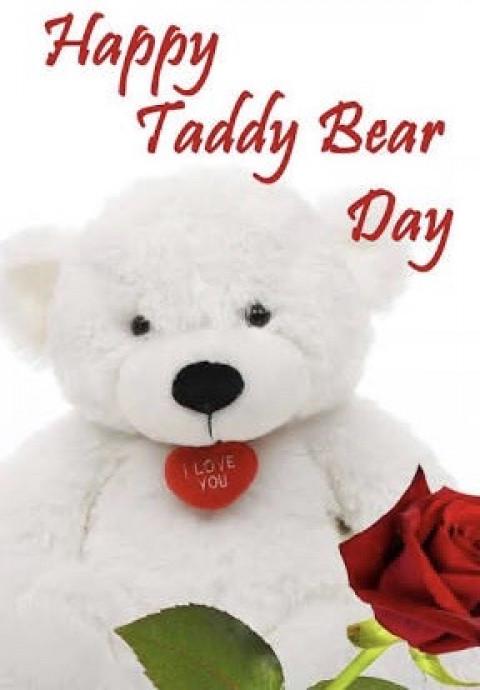 Happy Teddy Day Wish Image S