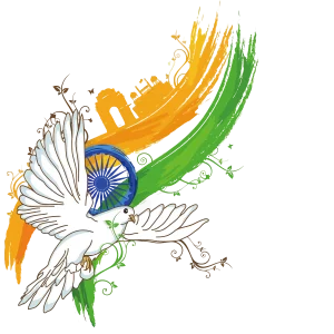 Indian Tricolor Pigeon Bird