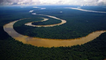 Amazon River HD wallpapers N