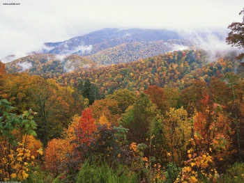 Appalachian Mountains HD Wal