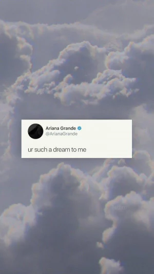 Ariana Grande Aesthetic Twit