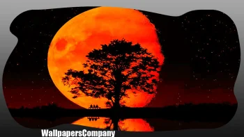 Blood Moon HD Wallpapers Spa
