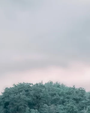 Blur Editing Background - Bl