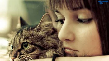 Cat with girl Wallpapers Ful