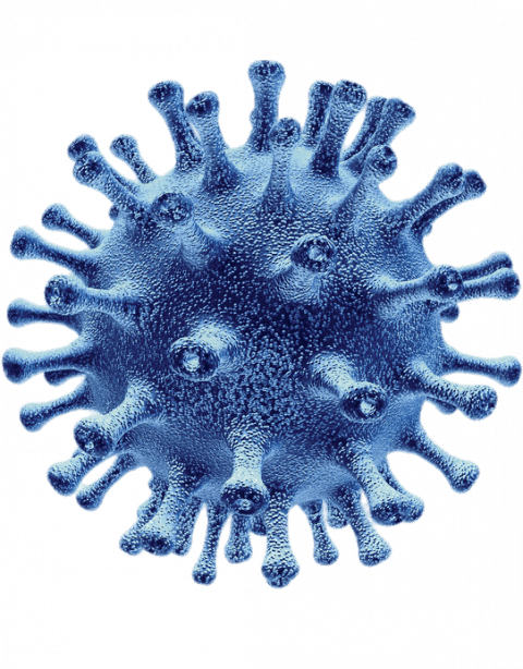 Coronavirus PNG - Transparen