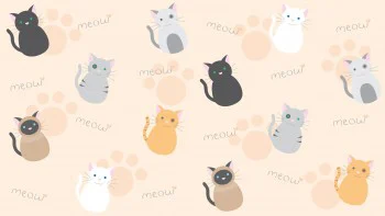 Cute Kawaii Cat Wallpapers F