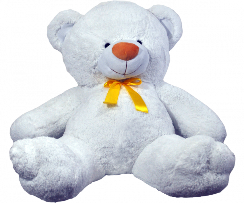 Cute Teddy Bear PNG Image -