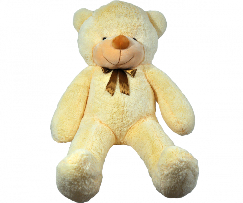 Teddy Bear PNG Image - Trans