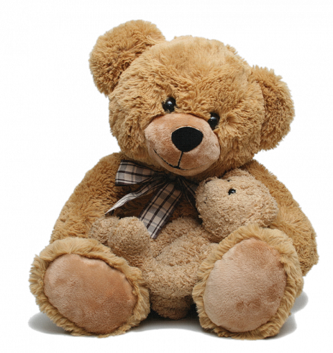 Teddy Bear PNG Image - Trans