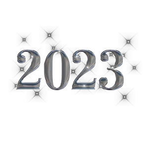 2023 Greyish Silver Color Te