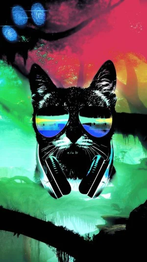 DJ Cat Wallpapers Full HD Ba