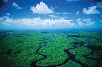 Everglades National Park HD
