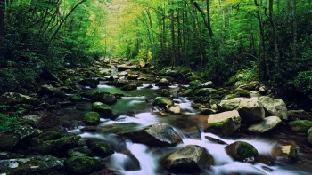 Great Smoky Mountains Nation