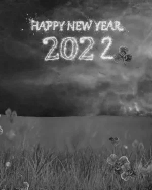 Happy New Year 2022 editing