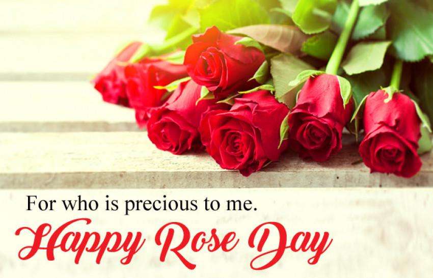 Happy Rose Day Quotes Wish I