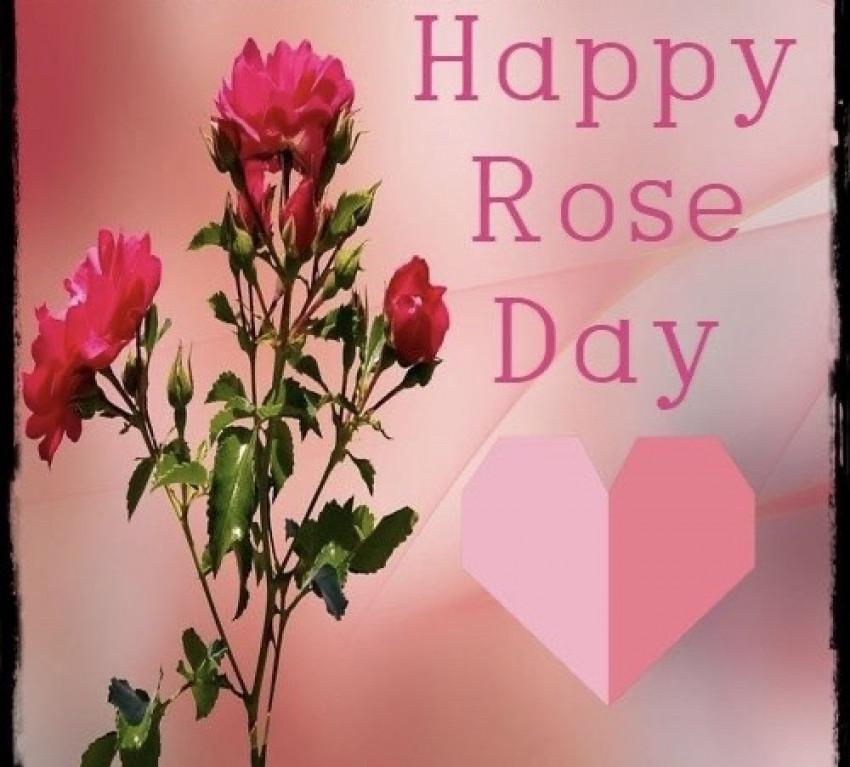 Happy Rose Day Wish Status P