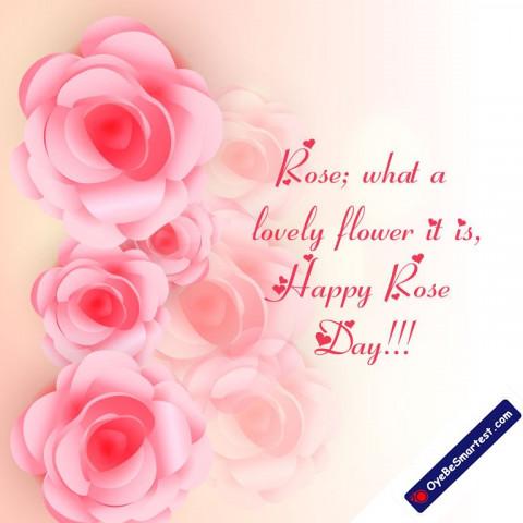 Happy Rose Day Status Greeti