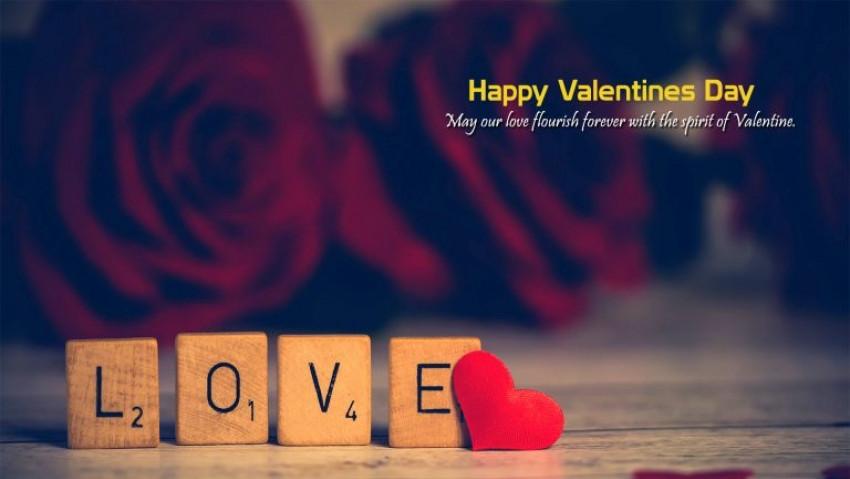 Cute Happy Valentine's Day W