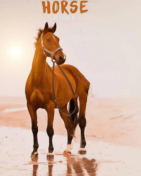Horse Editing Background HD