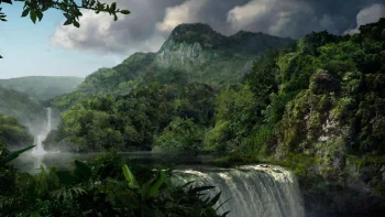 Jungle HD Wallpapers Nature