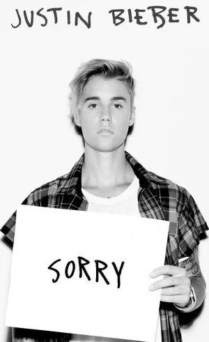 Justin Bieber Sorry Pics Wal