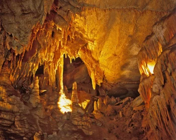 Mammoth Cave National Park H