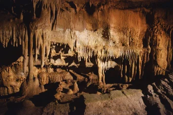 Mammoth Cave National Park H