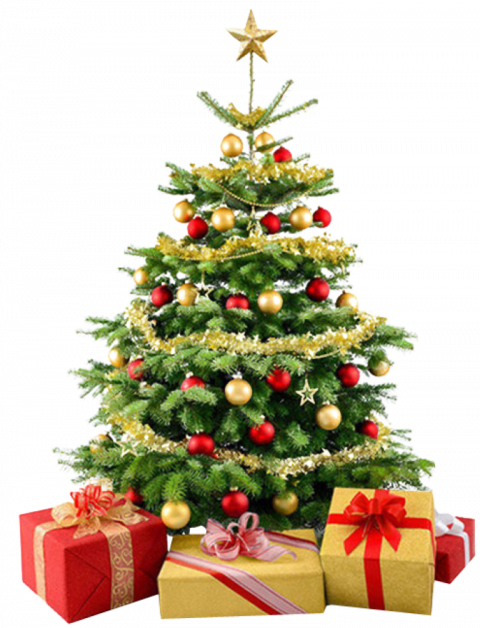 Merry Christmas Tree PNG (10
