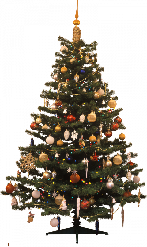 Merry Christmas Tree PNG (12