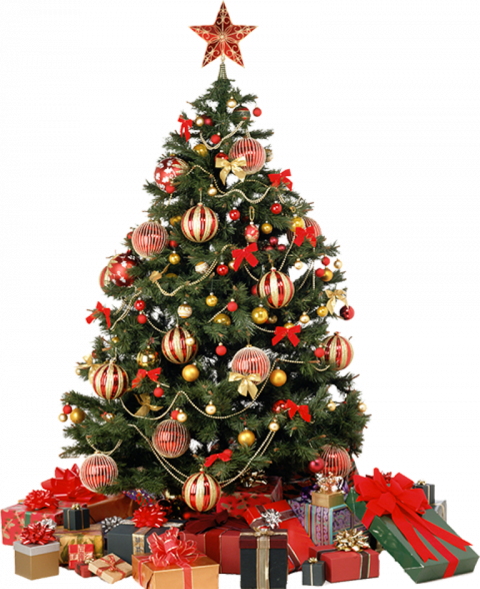 Merry Christmas Tree PNG (13
