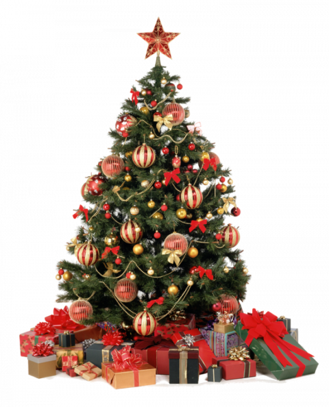 Merry Christmas Tree PNG (23
