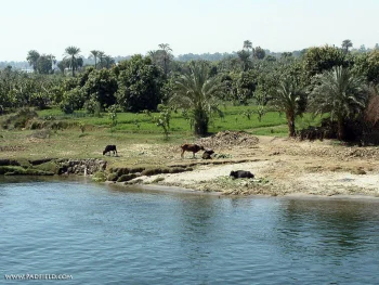 Nile River HD Wallpapers Nat