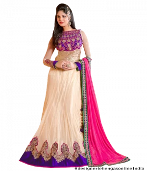 Woman in Saree Indian PNG HD