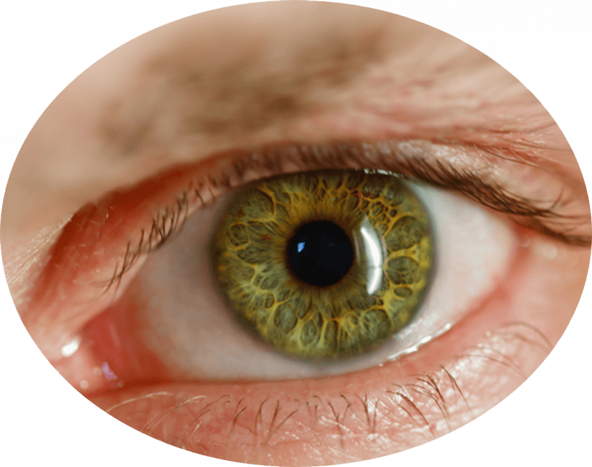 Real Eyes Lenses PNG Transpa