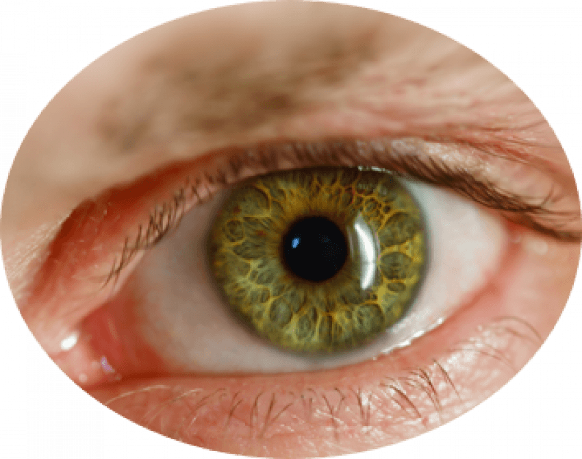 Real Eyes Lenses PNG Transpa