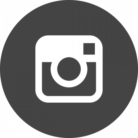 Rounded Instagram Logo Icon