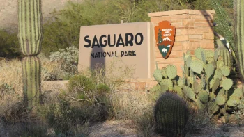 Saguaro National Park HD Wal