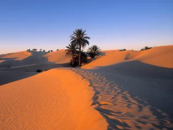 Sahara HD Wallpapers Nature
