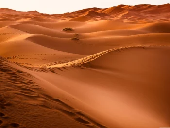 Sahara HD Wallpapers Nature