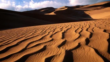 Sand Dunes HD Wallpapers Nat