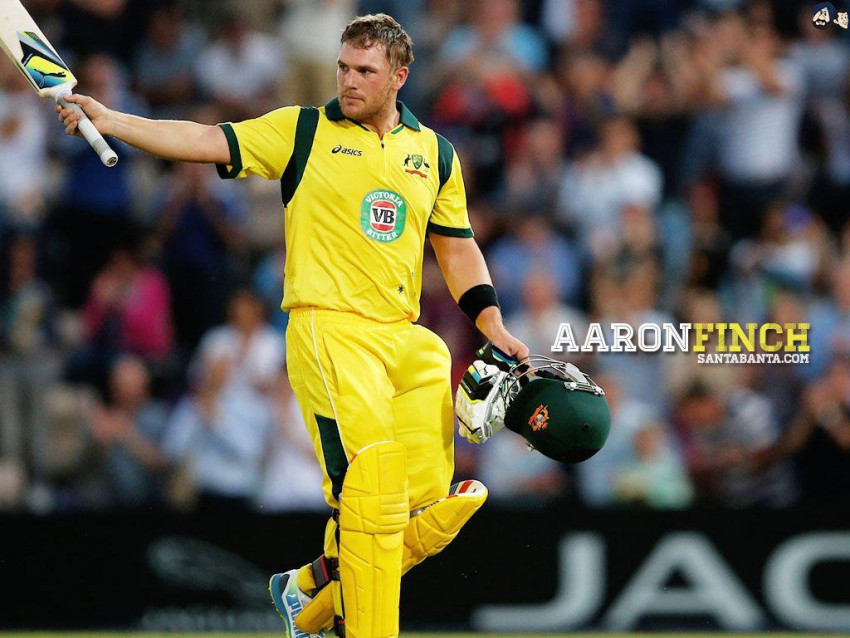 38+ Best Aaron Finch HQ Wallpapers | Photos | Images | Pictures | Free  Download