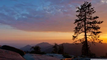 Sequoia National Park HD Wal