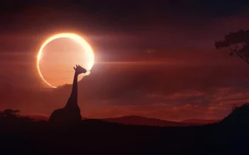 Solar Eclipse HD Wallpapers