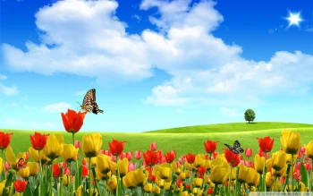 Spring HD Wallpapers Nature