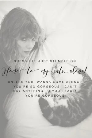 Taylor Swift Starlight Lyric